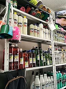 Tefannyy  online show from April 2026 05:10:01 PM