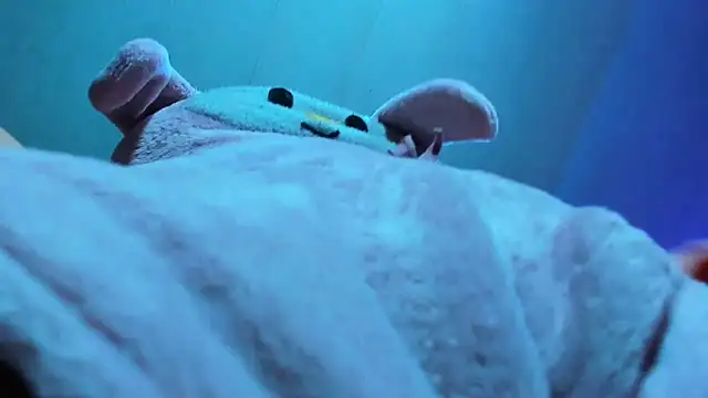 Lily stone04 online show from December 2025 08:08:01 AM