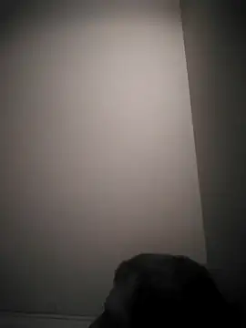 Snapshot of Vlastislav23 chatting on March 2026 10:54:01 AM Vlastislav23 online show from March 2026 10:54:01 AM