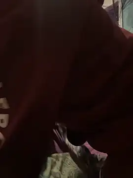 Snapshot of Nina-Chick777 chatting on November 2025 05:29:02 AM Nina-Chick777 online show from November 2025 05:29:02 AM