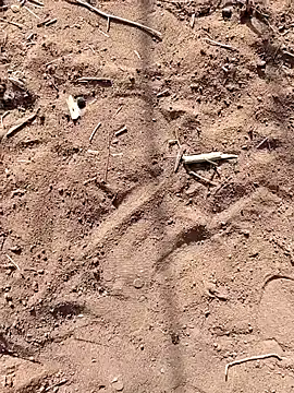 Snapshot of paugrande453 chatting on September 2025 10:51:01 AM paugrande453 online show from September 2025 10:51:01 AM