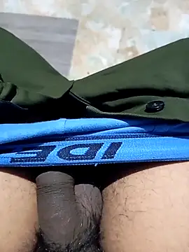 Andrapradesh online show from December 2025 06:29:02 AM