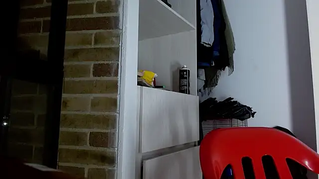 Snapshot of Party_trans chatting on January 2025 07:41:02 AM Party trans online show from January 2025 07:41:02 AM