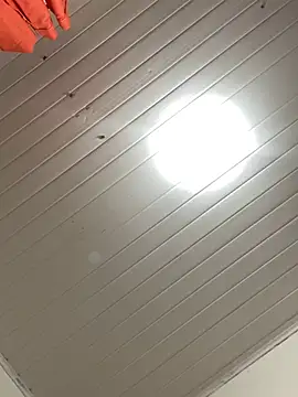 Snapshot of magalunabb chatting on January 2025 09:29:02 PM magalunabb online show from January 2025 09:29:02 PM