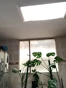 Miss oliviaa online show from November 2025 05:14:02 PM