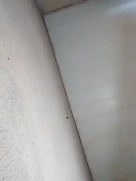 Snapshot of fofinhaa12 chatting on March 2025 10:34:02 PM fofinhaa12 online show from March 2025 10:34:02 PM