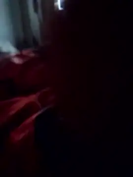 gatinhoznspp online show from November 2025 07:31:02 AM