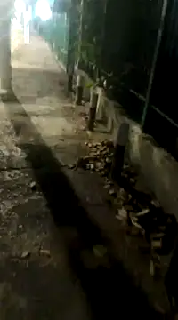 spacegirlll online show from March 2025 08:10:01 AM