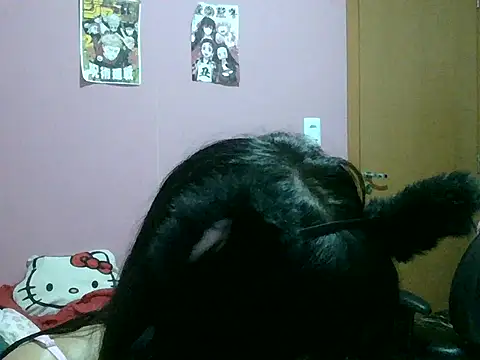 belletotosa online show from May 2026 03:55:02 AM