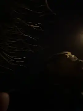 tipico0799 online show from March 2025 01:43:01 AM