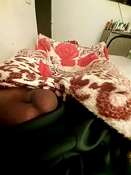 bengala223 online show from January 2025 11:49:02 AM