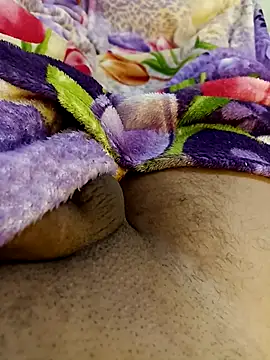 bengala223 online show from November 2025 12:05:02 PM