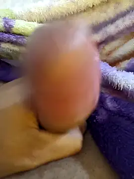 bengala223 online show from December 2025 12:14:02 PM