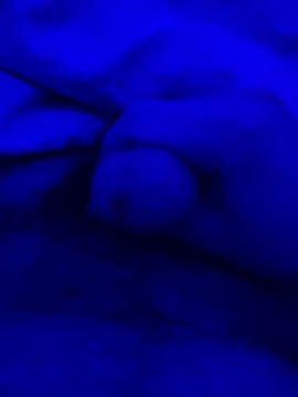 feuerfick online show from January 2025 06:42:01 AM