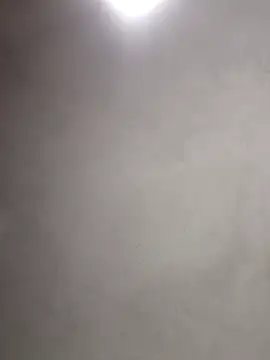  violetta - online show from November 2025 11:00:02 AM