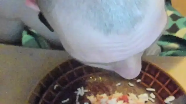 sexy264329 online show from March 2025 04:22:01 PM