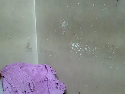 CUET-INDIA online show from February 2025 04:52:02 AM