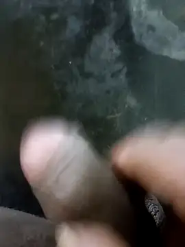 jellydicks online show from January 2025 01:49:02 PM