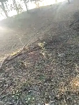 jellydicks online show from February 2026 02:01:02 AM