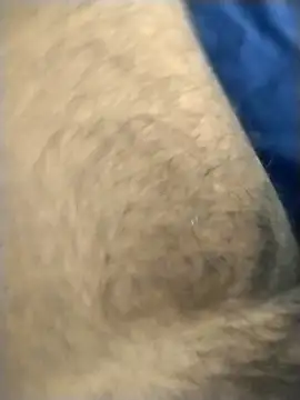 jellydicks online show from March 2026 02:23:02 PM