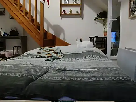 Snapshot of Lauzo21 chatting on December 2025 06:33:02 AM Lauzo21 online show from December 2025 06:33:02 AM