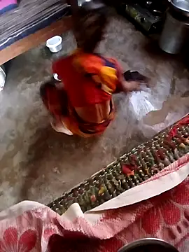 Snapshot of poojaji2024 chatting on December 2024 04:54:02 AM poojaji2024 online show from December 2024 04:54:02 AM