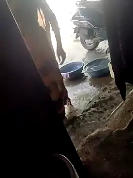 Snapshot of poojaji2024 chatting on March 2025 04:41:01 AM poojaji2024 online show from March 2025 04:41:01 AM