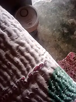 Snapshot of poojaji2024 chatting on March 2025 05:54:01 AM poojaji2024 online show from March 2025 05:54:01 AM