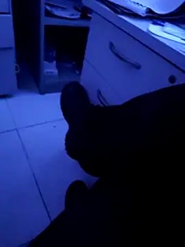 Snapshot of pedritolobito chatting on April 2026 03:22:01 AM pedritolobito online show from April 2026 03:22:01 AM