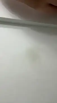 Snapshot of liutommy06 chatting on October 2025 05:30:01 PM liutommy06 online show from October 2025 05:30:01 PM