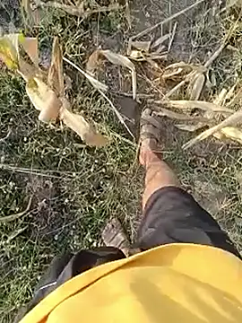 Piyush 2024 online show from March 2026 02:15:02 AM