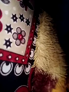 Gujrat player online show from March 2025 08:04:01 AM