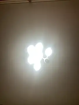 Snapshot of Janet_Welder chatting on December 2024 06:09:02 AM Janet Welder online show from December 2024 06:09:02 AM