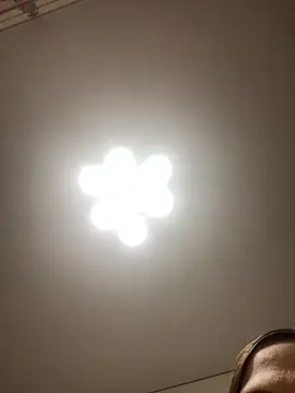 Snapshot of Janet_Welder chatting on November 2025 12:05:02 AM Janet Welder online show from November 2025 12:05:02 AM