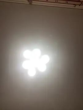 Snapshot of Janet_Welder chatting on November 2025 08:25:02 PM Janet Welder online show from November 2025 08:25:02 PM