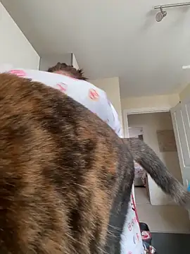 Tallulah-mae-xoxox online show from April 2026 10:21:01 AM