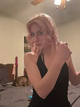 torilux online show from February 2025 04:36:02 AM