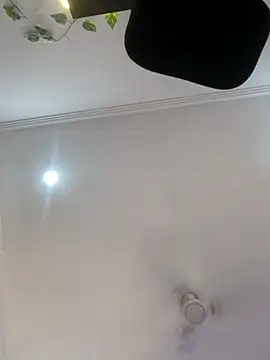 Snapshot of Archi-07 chatting on October 2025 08:11:01 AM Archi-07 online show from October 2025 08:11:01 AM