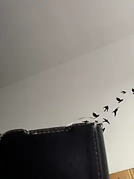 bogland33 online show from March 2026 07:59:01 AM