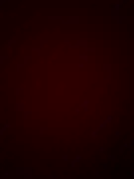 DINA-FOX online show from January 2025 11:55:02 PM