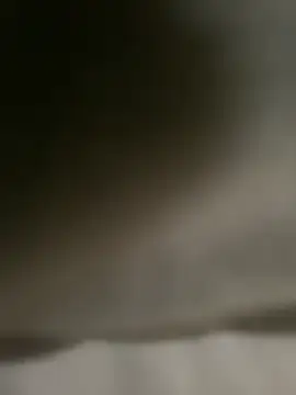 DINA-FOX online show from February 2025 02:02:01 PM