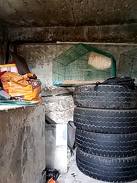 Snapshot of Elvishcassie_ chatting on October 2025 06:58:01 PM Elvishcassie online show from October 2025 06:58:01 PM