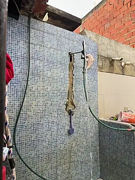 Leo bunny hot online show from November 2025 08:46:02 PM