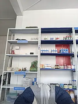 Megan jennerr online show from November 2025 02:39:02 PM