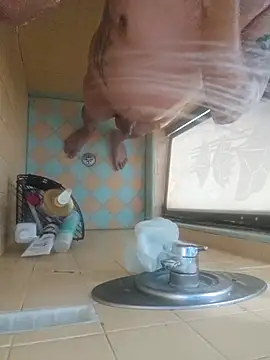 Snapshot of nakedtony81 chatting on March 2026 10:43:01 AM nakedtony81 online show from March 2026 10:43:01 AM