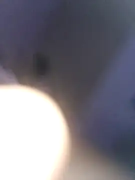 Macanxxx online show from December 2024 08:39:02 PM