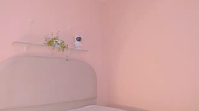 dilan sp online show from December 2025 11:32:02 PM