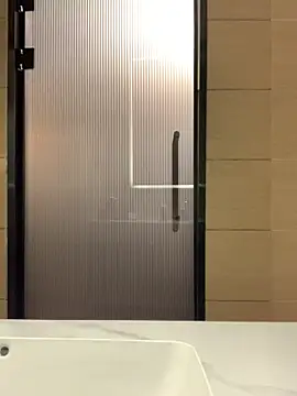 Snapshot of Aimeil chatting on March 2025 05:04:01 PM Aimeil online show from March 2025 05:04:01 PM