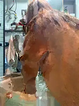 Snapshot of Aimeil chatting on November 2025 03:27:01 PM Aimeil online show from November 2025 03:27:01 PM