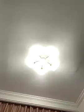 Snapshot of Aimeil chatting on November 2025 07:05:02 PM Aimeil online show from November 2025 07:05:02 PM